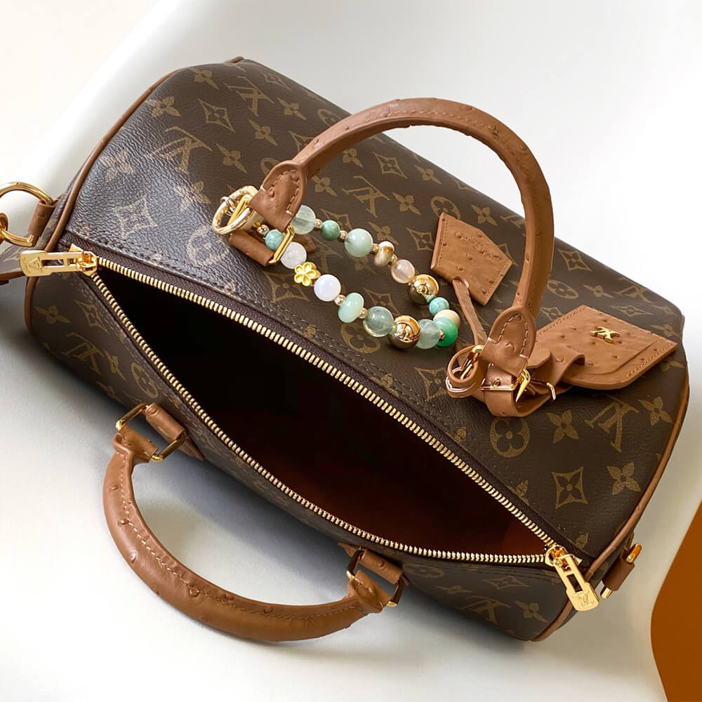 Louis Vuitton Speedy Soft 30