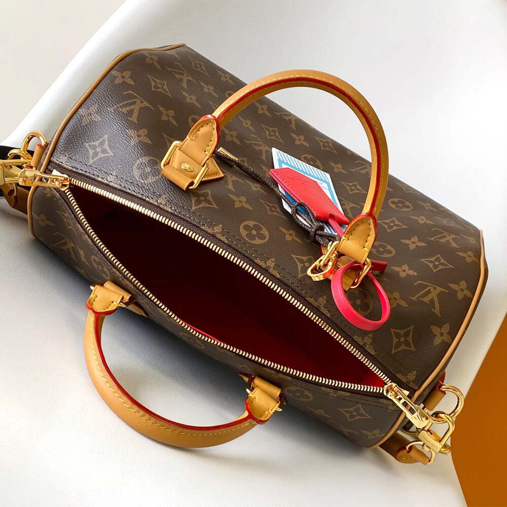 Louis Vuitton Speedy Soft 30
