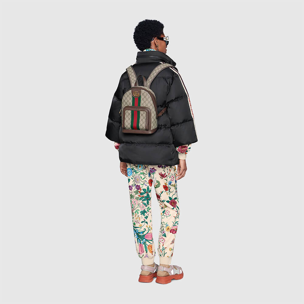 Gucci Ophidia Series Small