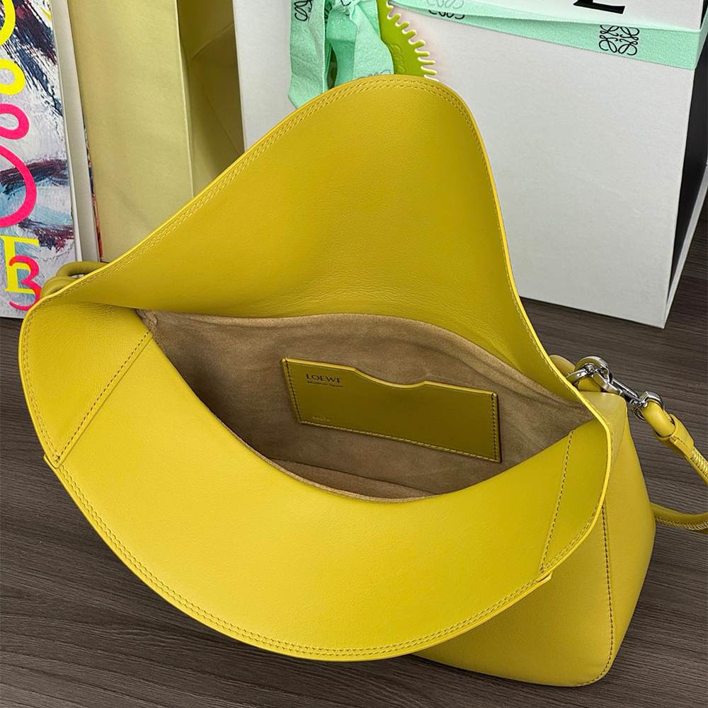 Loewe Medium Ola bag