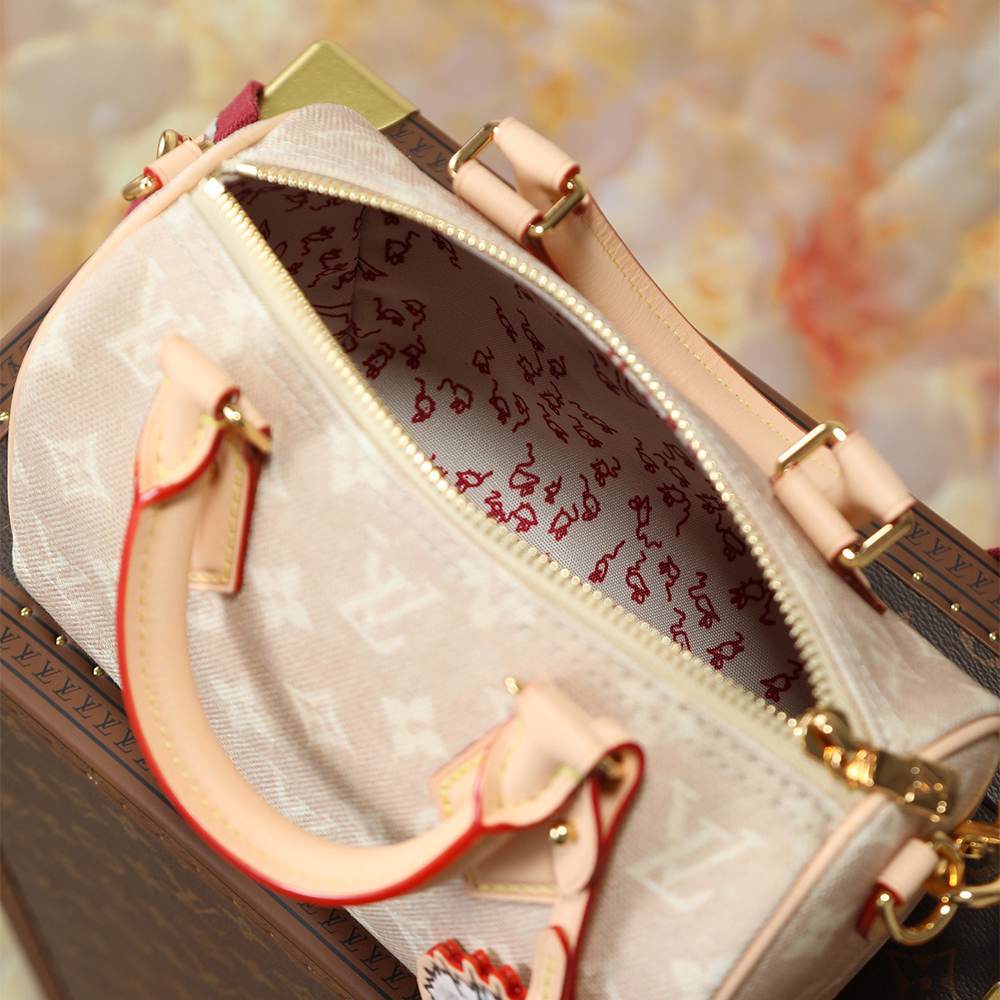 Louis Vuitton Speedy Bandoulière 20