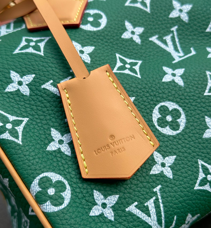 Bolsa Louis Vuitton Speedy P9 25